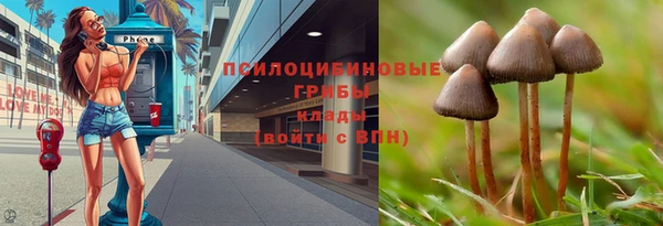 Альфа ПВП Алексеевка